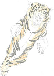 Leaping tiger