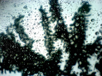 raindrops