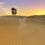 Desert in the UAE