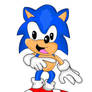 Sonic wants you as cameo