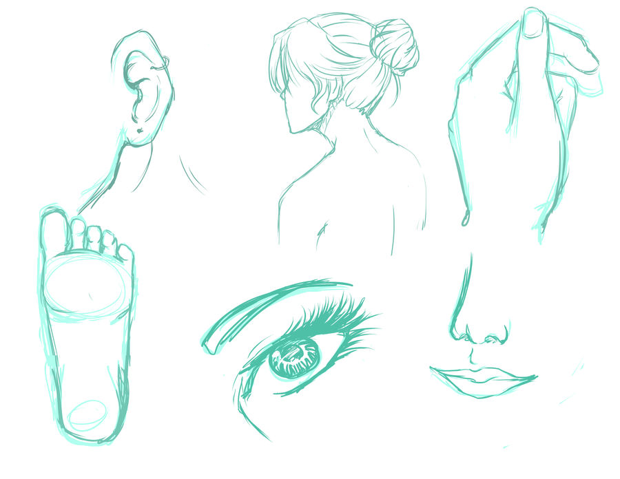 Drawing practice by hadealdrawsstuff on DeviantArt