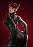 Catwoman's back by ynorka
