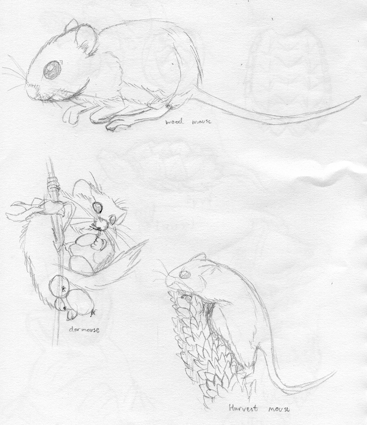 Mouse sketches