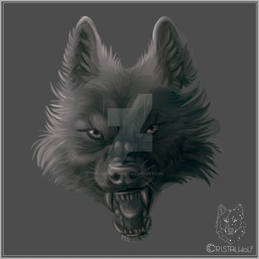 Shadow Wolf Design Shadow Wolf by Cristalwolf on DeviantArt