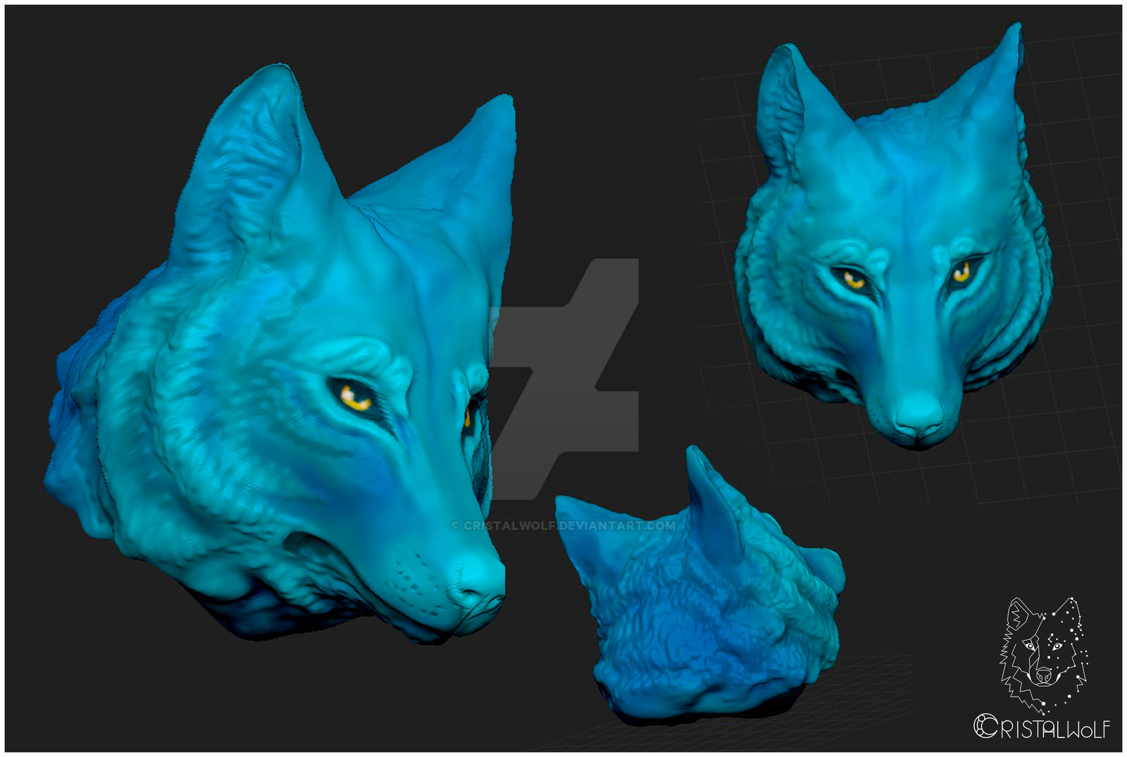 3D Wolf