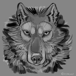 Draw a Wolf in Under 8 Minutes 2022
