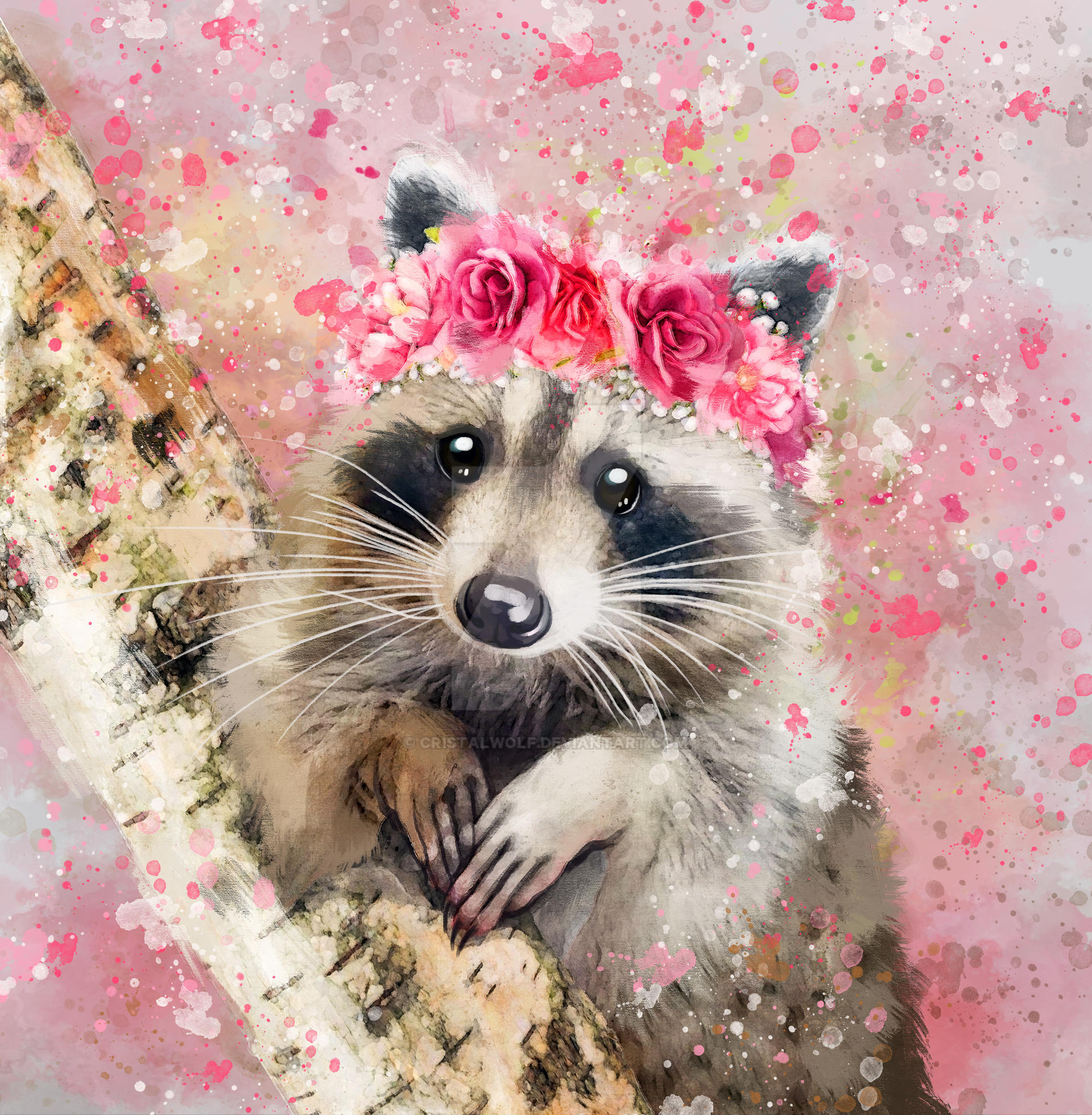 Sweet Racoon Sweet Raccoon by Cristalwolf on DeviantArt