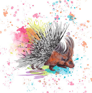 Watercolor Colored Porcupine