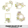 Frames Collect By Les