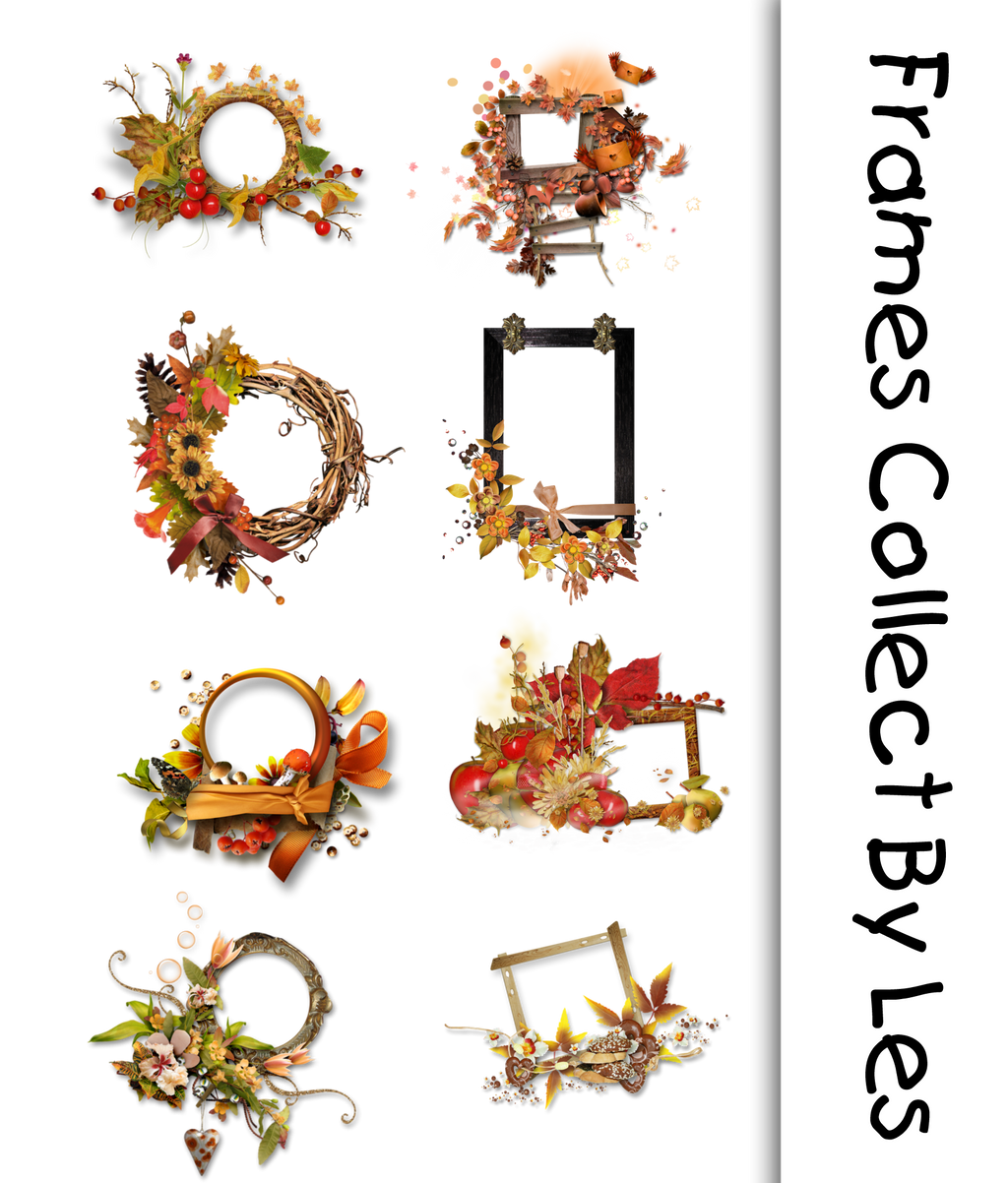 Frame Collect By Les