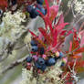 Colours of France