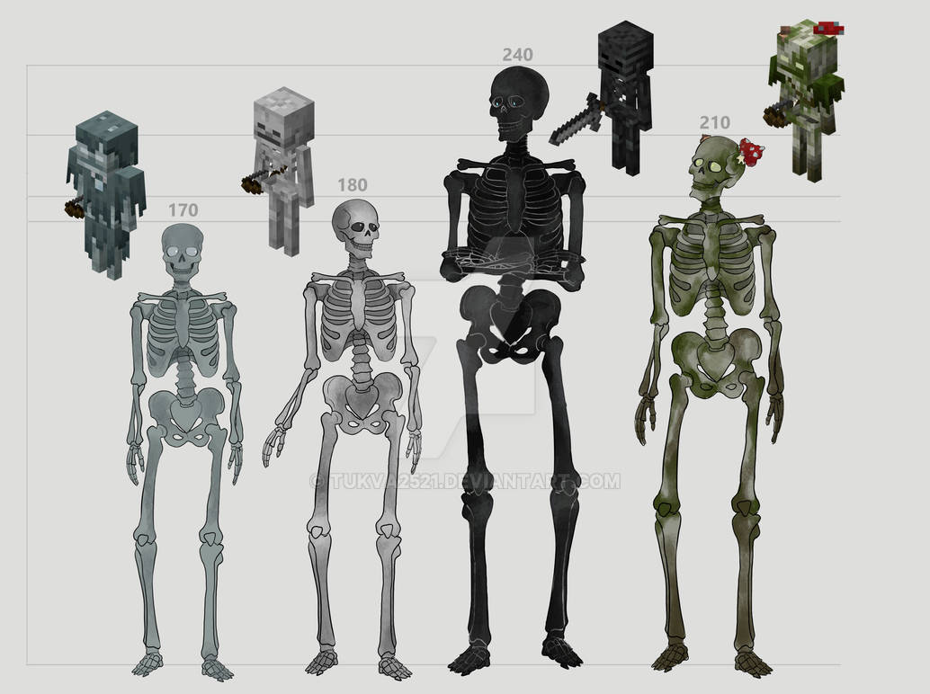 Minecraft Skeletons by Tukva2521 on DeviantArt