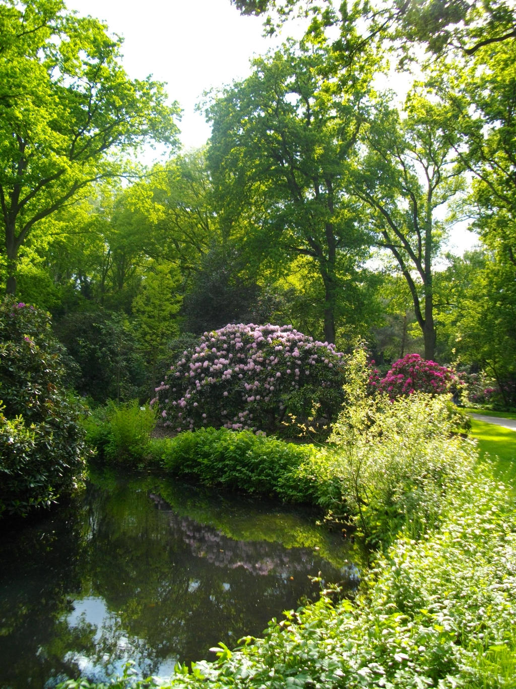 Rhododendronpark Bremen 4