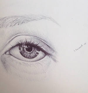 Pen Sketch (Eye)