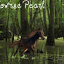 Swamp Horse