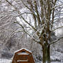 Barn in Snow.