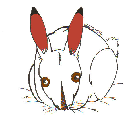 Random rabbit ::color:: by vanilla-cream-lio on DeviantArt