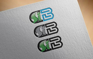 Bs Logo Mockup