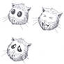 Hamster faces