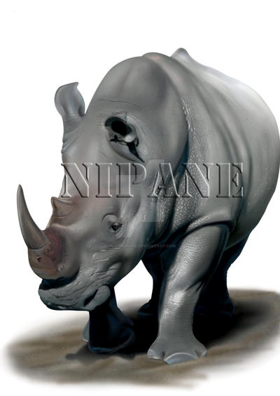 RHINO by vijaynipane on DeviantArt