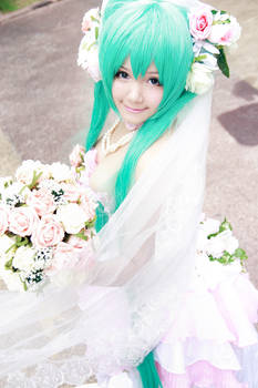 Vocaloid Wedding - Miku