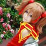 Sword Art Online - Silica