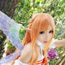 Sword Art Online - Alfheim Online - Asuna