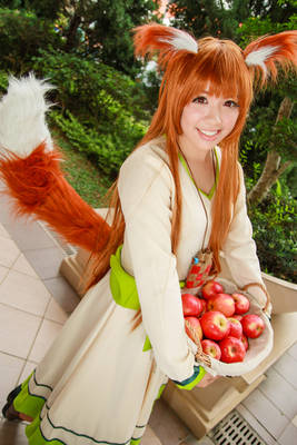 Spice and Wolf - Holo