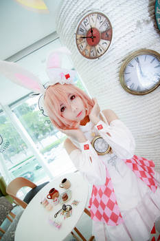 Alice In Wonderland - Usagi Rabbit