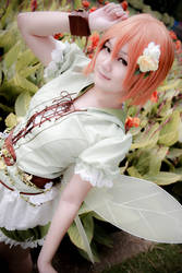 Love Live! - Land of Fairies Hoshizora Rin