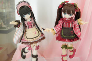 Dollfie - Twin Meido