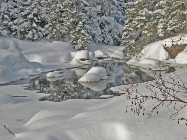 Winter Pond