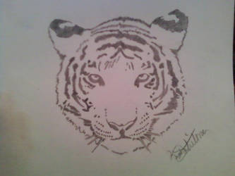 White Tiger Pencile Dec.14 2011