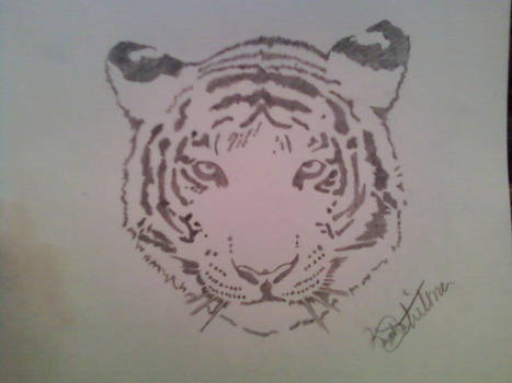 White Tiger Pencile Dec.14 2011