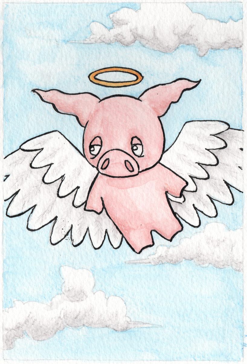 Angel pig