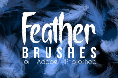 Real Feather Photoshop Brushes