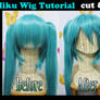 Miku wig tutorial: CUT and SET