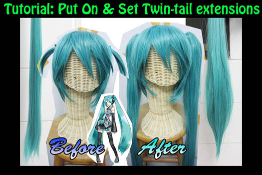 Wig Tutorial : Extension clips