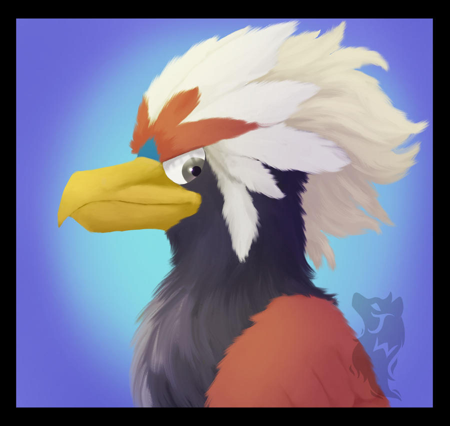 Braviary by JazzWolfBlaze on DeviantArt