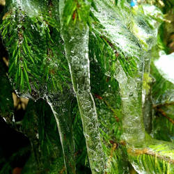 ice rain