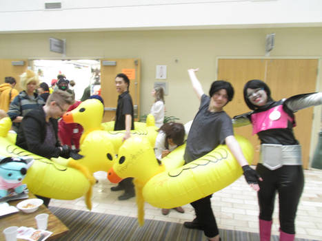 Chocobos at Detour