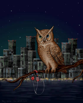 Owl City