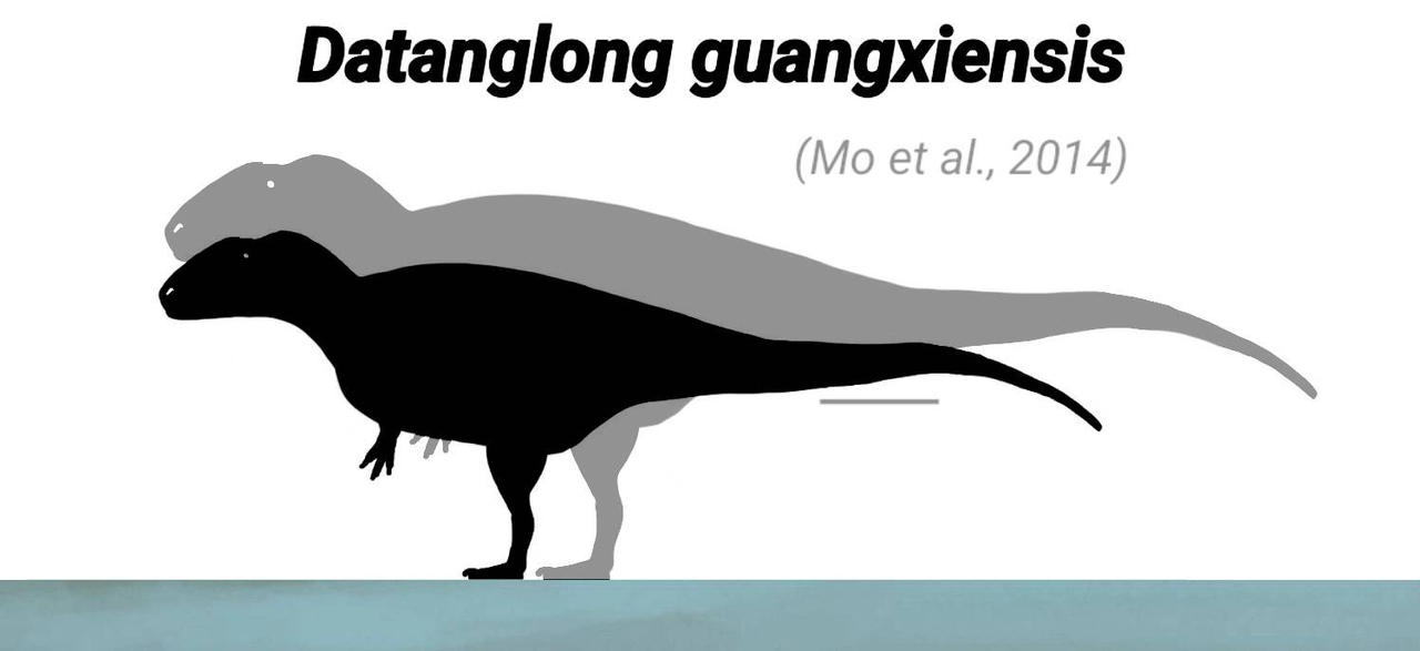 Datanglong Size Datanglong guangxiensis (as a carcharodontosaurid) by Deform2018 on ...