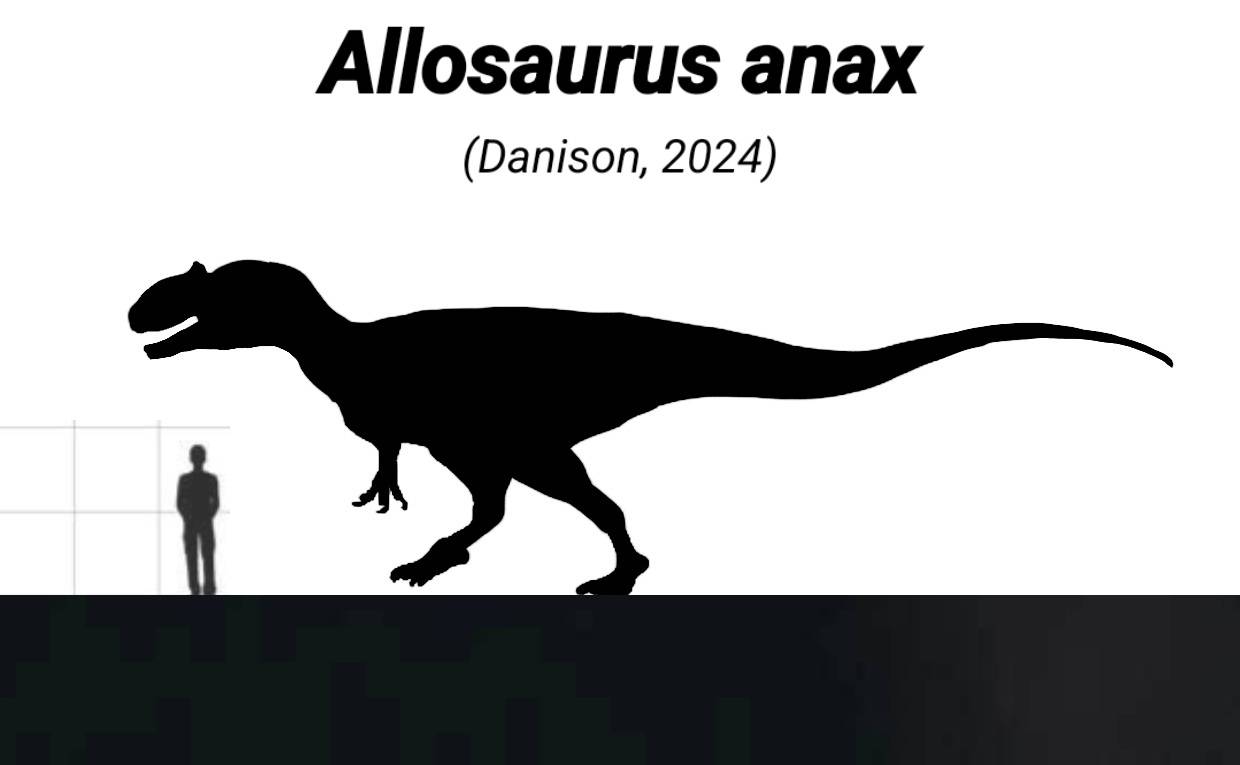 Atlasaurus Size Allosaurus anax size by Deform2018 on DeviantArt