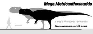 Largest Metricanthosaurids