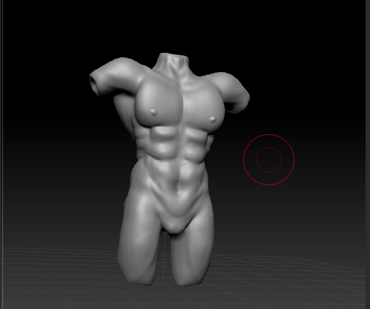 Zbrush Torso Front male