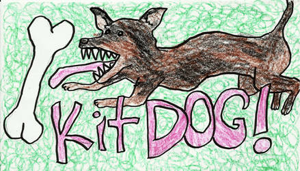 kit dog