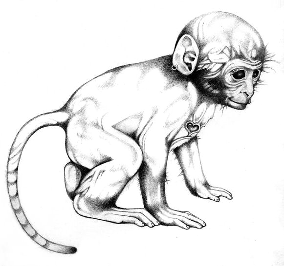 Monkey