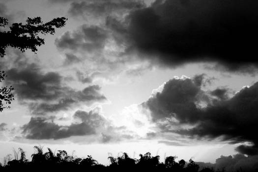 Black and White Sunset