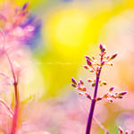 warm winters day by SaphoPhotographics